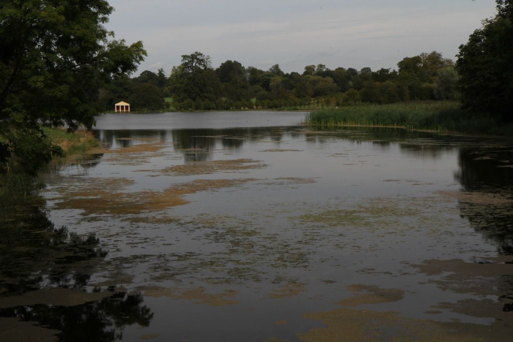 Wotton Underwood Lake The Traditional Fisherman's Forum
